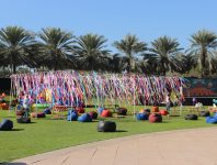 IMG_8017