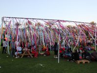 IMG_8085